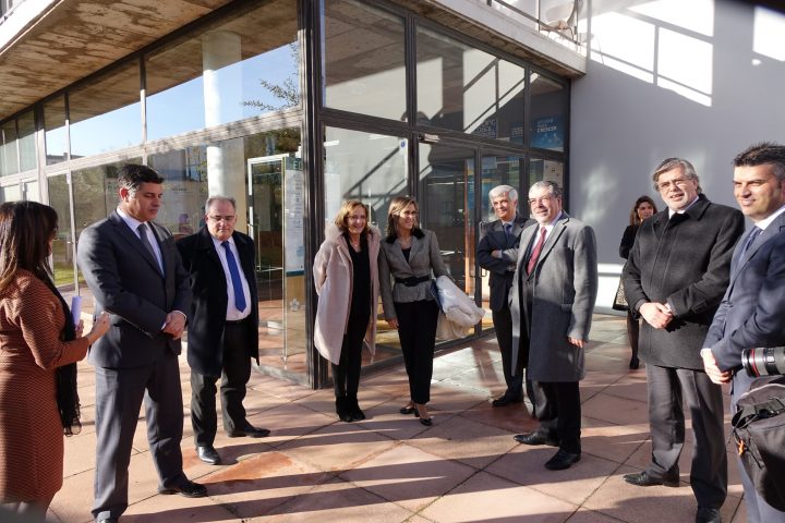 ipn e critical 12 Custom